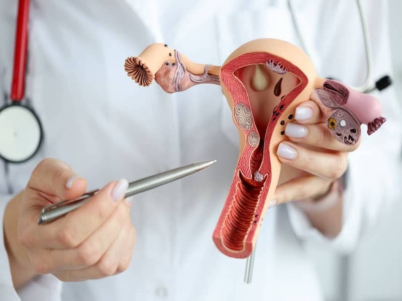 Trastornos gastrointestinales y manejo de la Diarrea